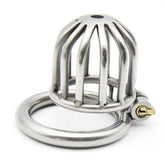 Asylum Chastity Cage